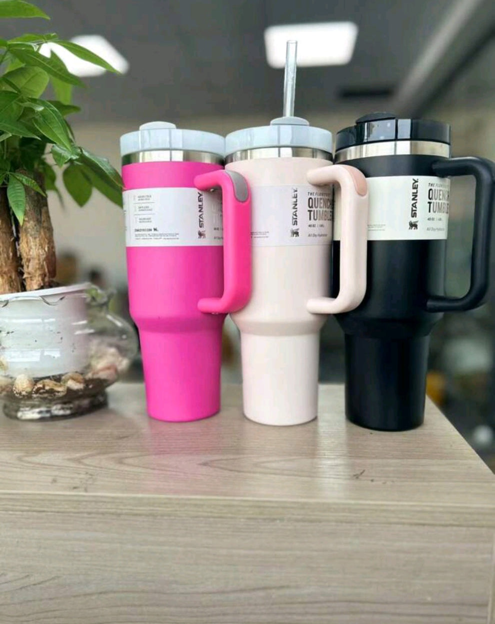 Stanley Cups with Packaging